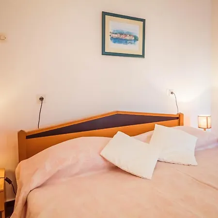 Guest house Luciana 3*